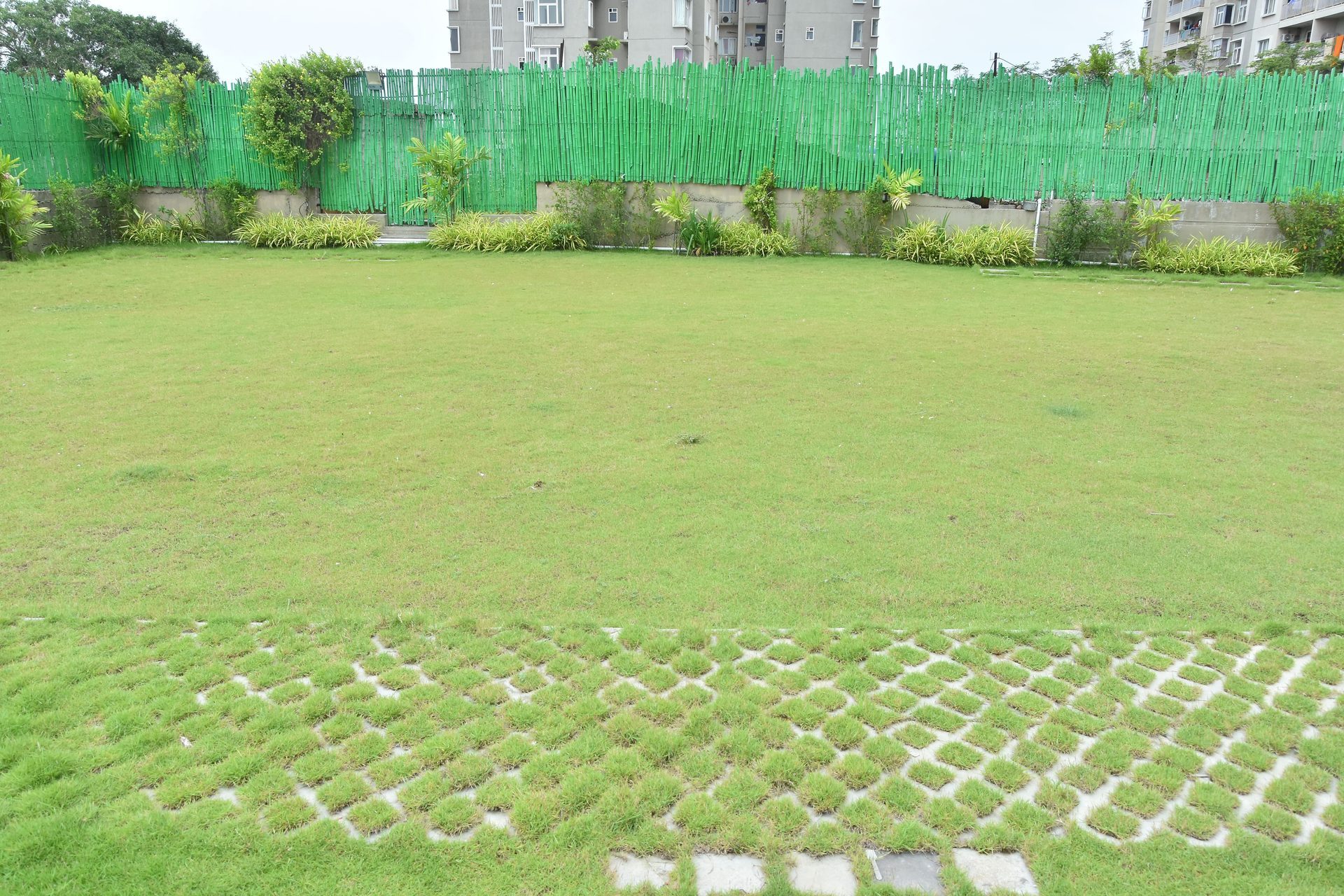 Open Ground Area